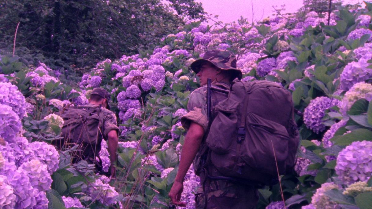 © Jorge Jácome, Flores